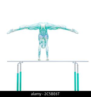 muscle femme faisant un gymnastique sur des barres de paralels sur fond blanc, illustration 3d Banque D'Images