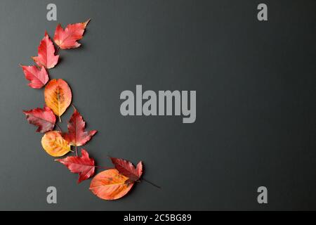 Ensemble de feuilles d'automne en érable sur fond noir élégant et tendance. Collection de feuilles rouges, jaunes et orange, prospectus, bannière, concept de vente saisonnière d'automne, Banque D'Images