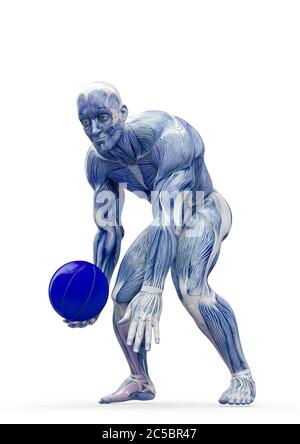 muscleman anatomie héroïque corps jouant au basket-ball sur fond blanc, illustration 3d Banque D'Images