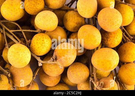 Gros plan Longan frais ou Dmocarpus longane, Thaïlande fruits tropicaux sur fond blanc fruits agriculture alimentaire isolée Banque D'Images