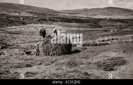 Vue du début des années 1920 sur la production de foin dans le comté de Mayo. En utilisant l'herbe de prairie, le blé, l'orge et l'avoine, les piles de foin étaient souvent reliées par une ficelle de foin et laissées à l'extérieur au cours de l'hiver. Initialement photographié par Clifton Adams (1890-1934) pour 'Ireland: The Rock Wharce I was hewn', un reportage du magazine National Geographic de mars 1927. Banque D'Images