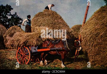 Un autochrome de foin du début des années 1920 sur la côte ouest de l'Irlande. En utilisant l'herbe de prairie, le blé, l'orge et l'avoine, les piles de foin étaient souvent reliées par une ficelle de foin et laissées à l'extérieur au cours de l'hiver. Initialement photographié par Clifton Adams (1890-1934) pour 'Ireland: The Rock Wharce I was hewn', un reportage du magazine National Geographic de mars 1927. Banque D'Images