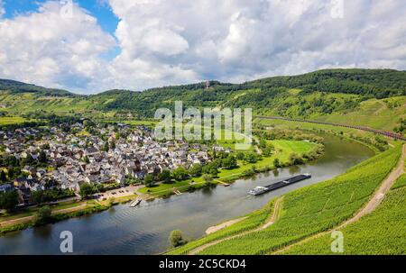 PŸnderich, Rhénanie-Palatinat, Allemagne - vignobles sur la Moselle. Puenderich, Rheinland-Pfalz, Deutschland - Weinberge an der Mosel. Banque D'Images