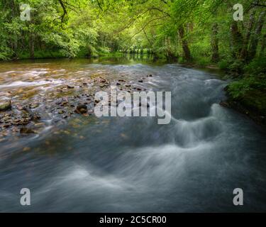 Rivière en été avec un débit faible qui montre les rochers du lit et forme des étangs dans la Navia de Suarna Galice Banque D'Images