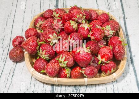 Fraises Polka rouges fraîches et mûres dans un plateau en osier Banque D'Images