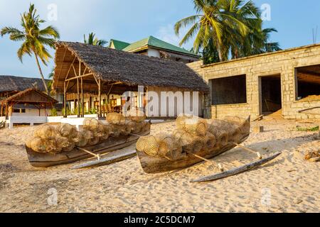 Pêche traditionnelle de bambou malgache tissée dans un piège de crustacés sur la plage de Nosy Be. Madagascar campagne scène. Banque D'Images