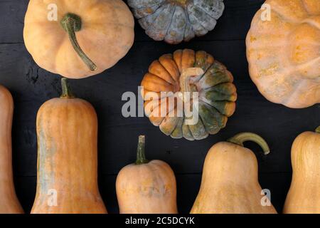 Le noyer cendré et la moschata écrase des variétés sur fond de planches en bois noir Banque D'Images