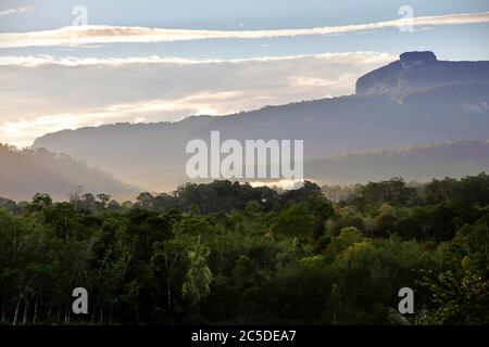 Bukit Tilung (Tillung Hills/Mount Tilung) vu d'un champ agricole près du village de Nanga Raun à Kalis, Kapuas Hulu regency, province du Kalimantan occidental, Indonésie. Banque D'Images