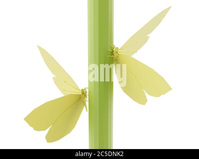 Papillon polygonal faible poly isolé sur fond blanc. Gros plan. Insecte avec triangle géométrique. Convient à la conception de la bande. Papillon abstrait de lig Banque D'Images