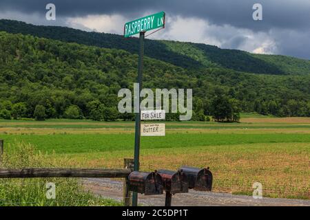 Bellville, PA, USA - 23 mai 2013 : une enseigne offrant du beurre frais à la vente sur une ferme amish sur Raspberry Lane, une route rurale près de Belleville à Kishacoqu Banque D'Images