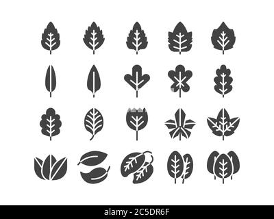 Feuille solide Glyph Icon Set automne et printemps concept minimaliste style Illustration Vector EPS 10. Illustration de Vecteur