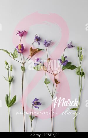 vue de dessus des fleurs violettes sur fond blanc, illustration de la journée pour femmes Banque D'Images