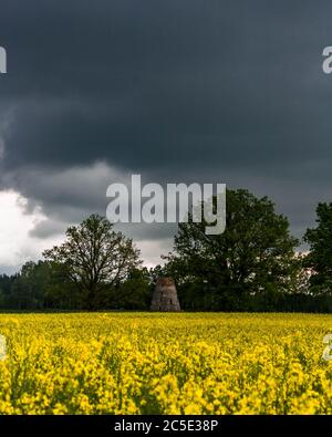 Vieilles ruines d'un moulin à vent dans un champ de colza en pleine floraison le jour du printemps. Banque D'Images