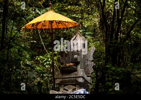 Des offrandes hindoues sur une statue dans la forêt sous le parapluie Banque D'Images