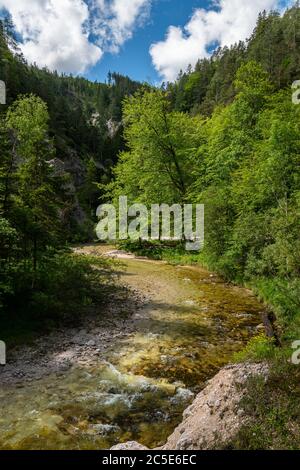 Rivière dans la gorge d'Oetschergraeben en Autriche, par une journée ensoleillée au printemps. La traversée de l'Oetschergraeben est l'une des randonnées les plus populaires Banque D'Images