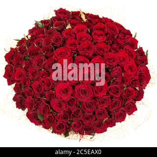 Bouquet de roses rouges isolé sur fond blanc Banque D'Images