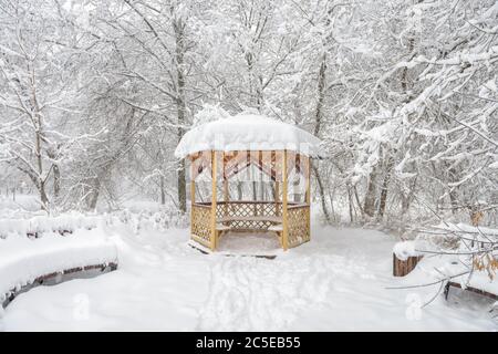 Snowy summerhouse en hiver, Moscou, Russie. Parc urbain vide pendant la neige. Vue panoramique sur l'arbre solitaire dans la ville d'hiver. Banque D'Images