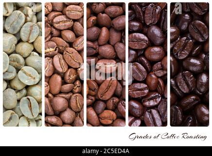 Un collage de grains de café montrant différentes étapes de torréfaction, du cru au rôti italien Banque D'Images