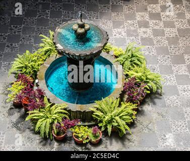 Fontaine à l'intérieur du cloître baroque de l'église El Sagrario Banque D'Images