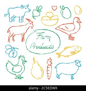 Ensemble d'icônes de nourriture agricole dans le style esquisse. Animaux, légumes et fruits dessinés à la main. Illustration de Vecteur