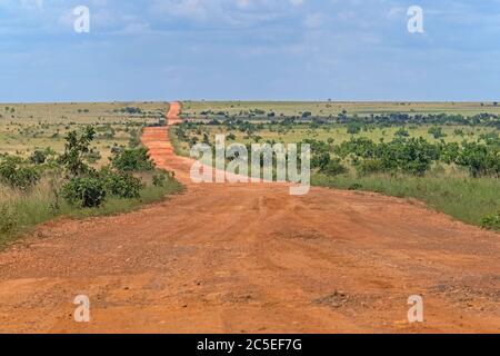 Linden-Lehem piste, route de terre rouge reliant Lehem et Georgetown à travers la savane, Guyana, Amérique du Sud Banque D'Images