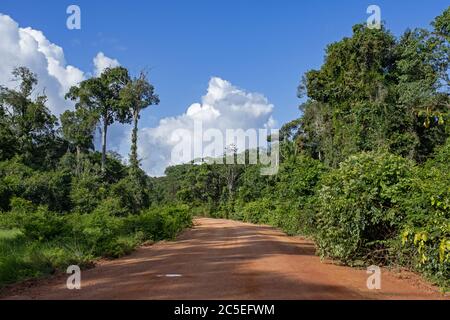 Linden-Lehem piste, route de terre rouge reliant Lehem et Georgetown à travers la jungle en Guyane, Amérique du Sud Banque D'Images
