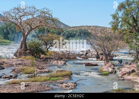 EPUPA, NAMIBIE - 24 MAI 2011 : une femme lavant des vêtements dans la rivière Kunene au sommet des cascades d'Epupa. Un arbre de baobab est visible Banque D'Images