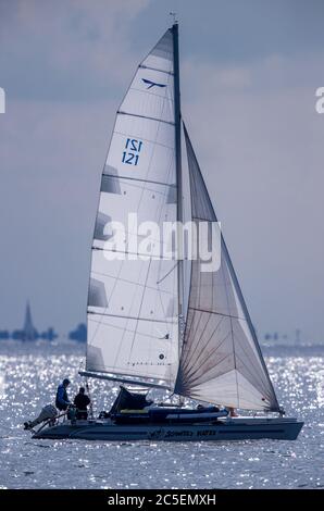 Freest, Allemagne. 02 juillet 2020. Un voilier est en route sur le Greifswald Bodden au soleil animal. Credit: Jens Büttner/dpa-Zentralbild/dpa/Alay Live News Banque D'Images