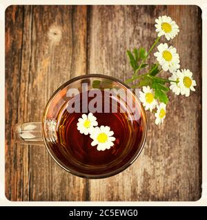 Tasse de thé en verre de camomille aux fleurs de camomille, sur une table en bois d'époque. Traité en croix pour ressembler à une photo instantanée vieillie. Banque D'Images