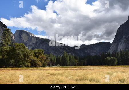 Vue vers Half Dome et les formations rocheuses environnantes depuis un pré dans la vallée de Yosemite en automne / couleurs d'automne avec de l'herbe jaune et des arbres verts. Banque D'Images