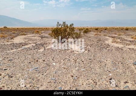 Un paysage stérile dans le parc national de la Vallée de la mort, en Californie Banque D'Images