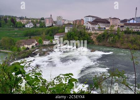 Chutes du Rhin près de Schaffhausen, Rheinfall, Suisse, Suisse, Svájc, Europe Banque D'Images