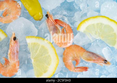 des crevettes et des quartiers de citron sont sur la glace Banque D'Images