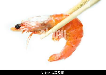 Crevettes sur fond blanc Banque D'Images