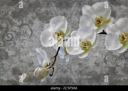 papier peint 3d, orchidées fleurissent sur le mur de béton fond texturé.murs de peintures murales. Banque D'Images