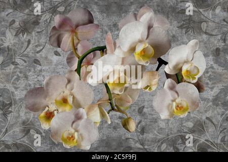 papier peint 3d, orchidées fleurissent sur le mur de béton fond texturé.murs de peintures murales. Banque D'Images