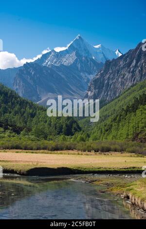 Mont sacré Jampelyang, 5958 m, Luorong Grassland, Pasture de Luorong, Parc national du Yading, Comté de Daocheng, Sichuan, Tibet oriental, Tibet, Chine Banque D'Images