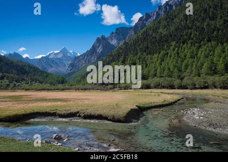 Mont sacré Jampelyang, 5958 m, Luorong Grassland, Pasture de Luorong, Parc national du Yading, Comté de Daocheng, Sichuan, Tibet oriental, Tibet, Chine Banque D'Images