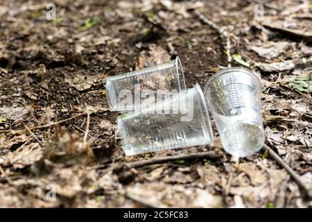 Tasses en plastique dispersées sur le sol dans la forêt Banque D'Images