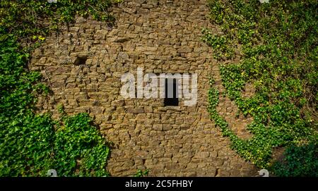 Ivy plante poussant sur une ancienne maison en pierre abandonnée dans la campagne de Mayenne, France Banque D'Images