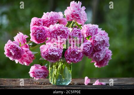 Magnifique bouquet de pivoines roses dans une banque sur un table en bois sur la nature Banque D'Images