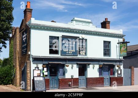 The Bloated Mallard Pub, High Street, Hampton Hill, Borough of Richmond-upon-Thames, Greater London, Angleterre, Royaume-Uni Banque D'Images
