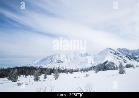 Vue sur les montagnes dans la région de Zakopane en Pologne couverte de neige fraîche le jour avec ciel bleu Banque D'Images