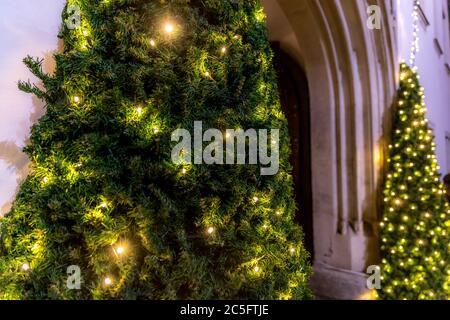 Deux arbres décorés de lumière à l'entrée des marchés de noël illuminés par l'ancien hôtel de ville de Brno République tchèque pendant le classique Chr Banque D'Images