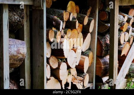 Piles de bois de chauffage alignées sur des palettes Banque D'Images