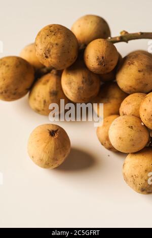 Lansium parasiticum, communément appelé langsat ou lanzones, est une espèce d'arbre de la famille de l'acajou avec des plantes comestibles cultivées commercialement Banque D'Images