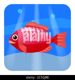Joli beau poisson tropical rouge, sur fond de mer, océan, vecteur, isolé, style de dessin animé Illustration de Vecteur