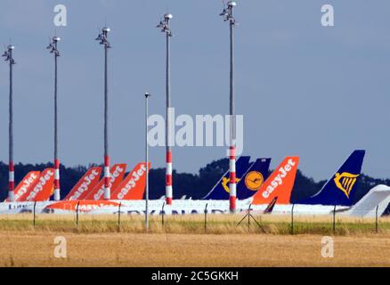 02 juillet 2020, Brandebourg, Schönefeld: Les avions des compagnies aériennes easyJet, Lufthansa et Ryanair sont garés à côté du tarmac de l'aéroport derrière un champ de cornone. Photo: Soeren Stache/dpa-Zentralbild/ZB Banque D'Images