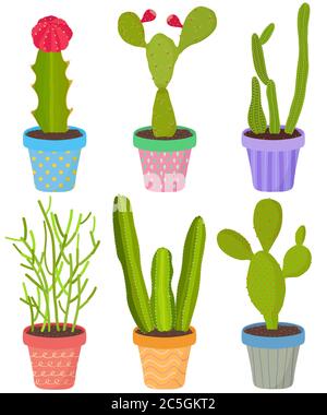 Ensemble vectoriel de cactus cactus aloès plantes succulentes en pot. Collection de maison exotique dessinés à la main. Jolie illustration isolée sur blanc. Illustration de Vecteur