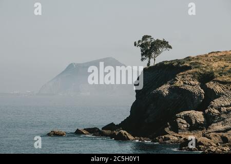 Couple d'arbres debout sur le bord de la falaise au-dessus du golfe de Gascogne près de la ville espagnole Castro Urdiales pendant la matinée d'été avec ciel bleu Banque D'Images